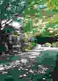 nCLOE炬R[X